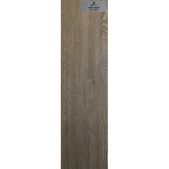 GIPSY-ANDRE-22.2X66.4-POES0134